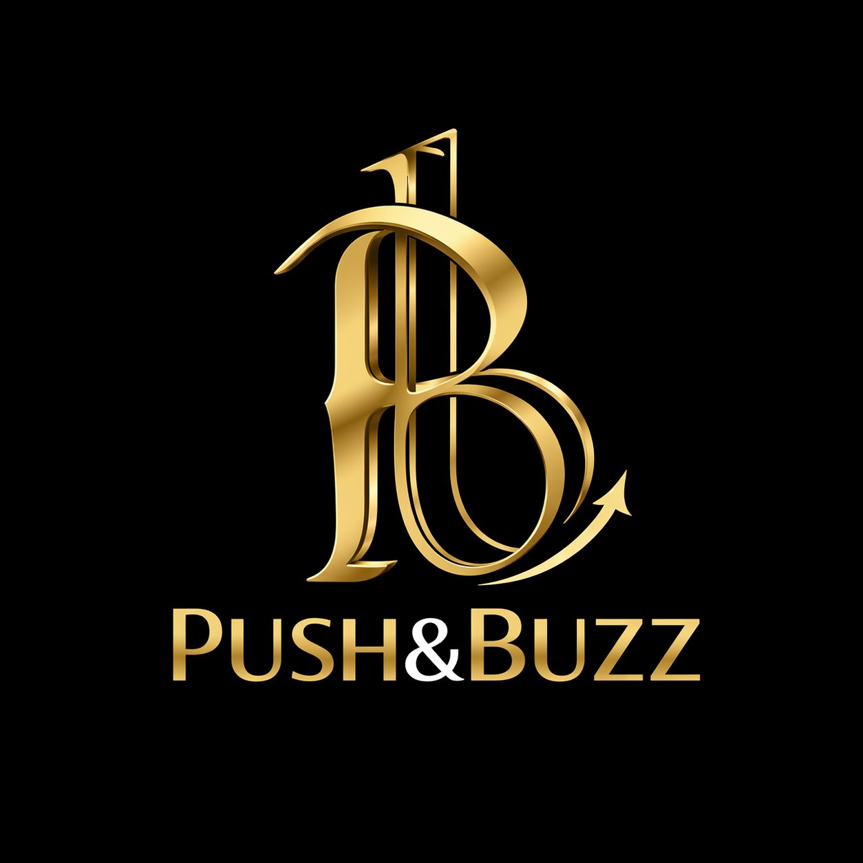 Push & Buzz SARL logo
