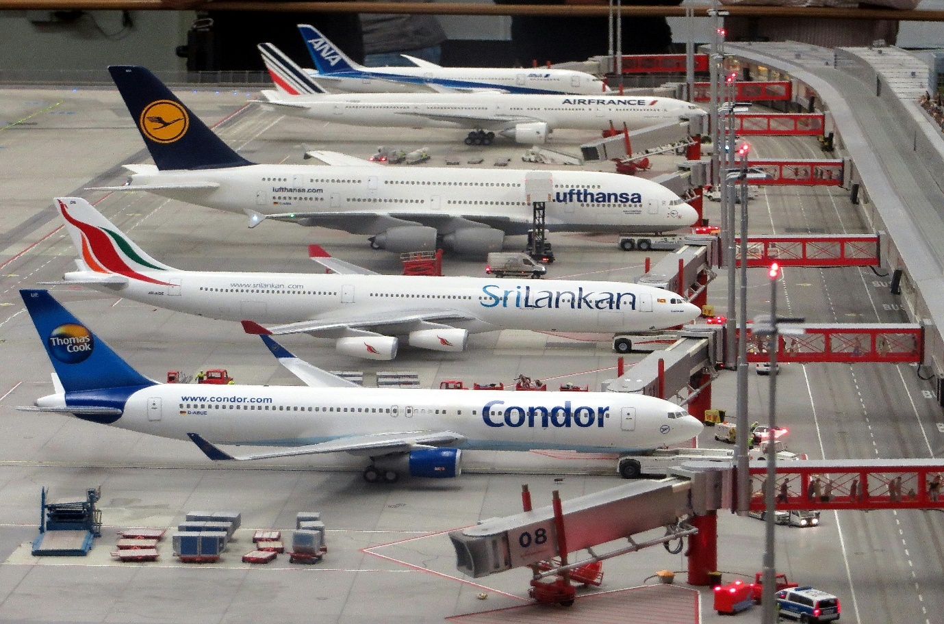 Airline & Travel