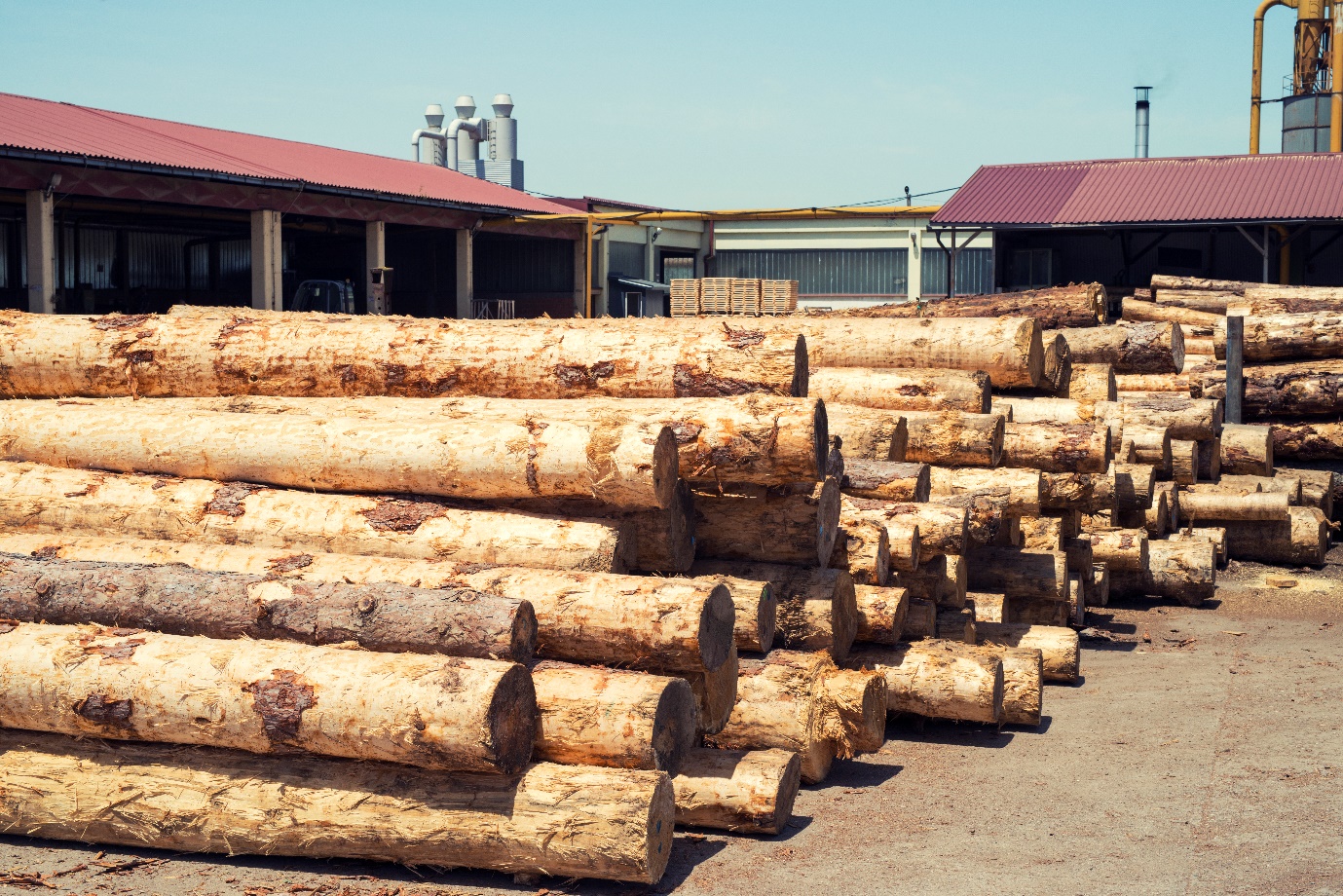 Forestry